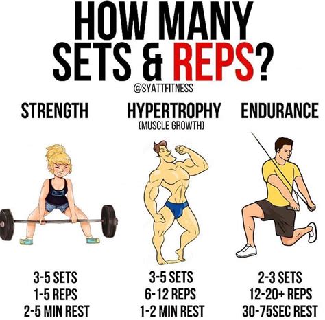 size 15 reps|reps per workout set.